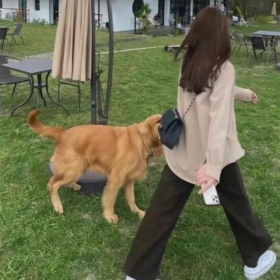 贪婪的人